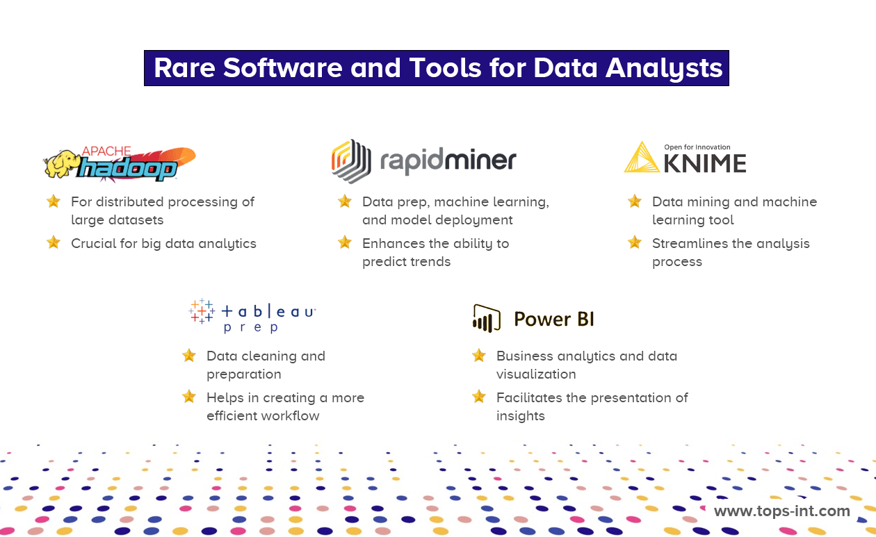 What Does a Data Analyst Do? Your 2024 Career Guide