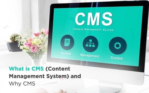 What is CMS (Content Management System) and Why CMS?