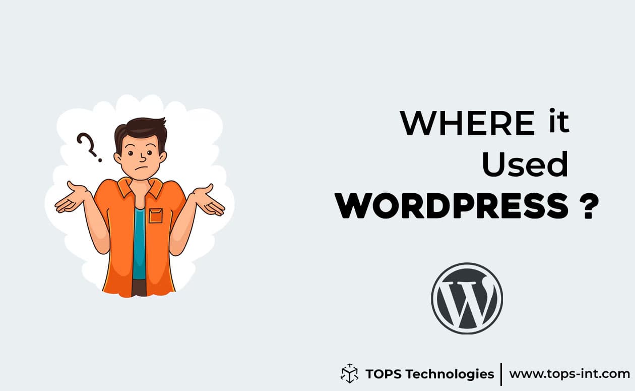 What is Custom Fields in WordPress and Where it Used?