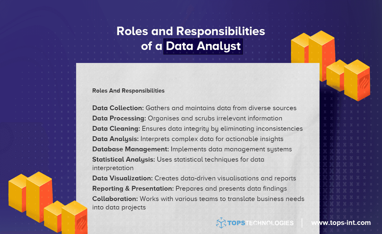What Does a Data Analyst Do: Roles, Skills, and Salary?
