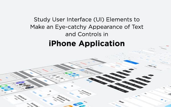 Study User Interface (UI) Elements to Make an Eye-catchy Appearance of Text and Controls in iPhone Application