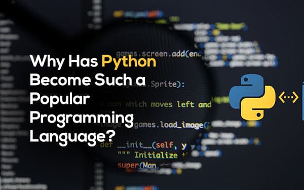 Why Has Python Become Such a Popular Programming Language?