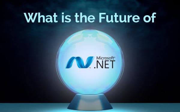 What is the Future of ASP.Net