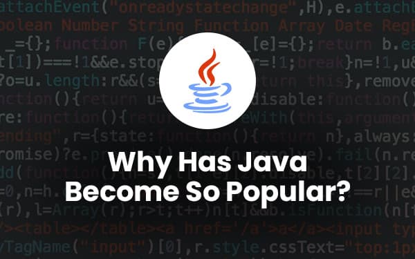 Why Has Java Become So Popular?